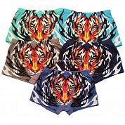 �����-������� �� ��������� 